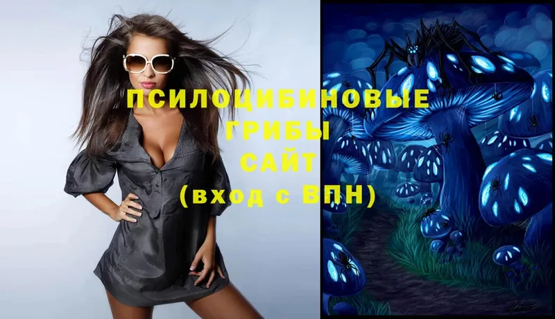 Галлюциногенные грибы Magic Shrooms  Кириши 